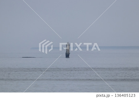 海に突き出る貝殻島灯台 136405123