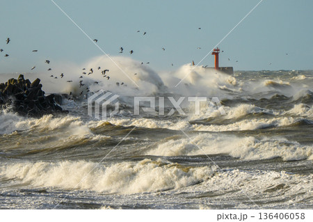 Baltic Sea storm waves crashing against breakwater with birds flying near red lighthouse in Liepaja 136406058