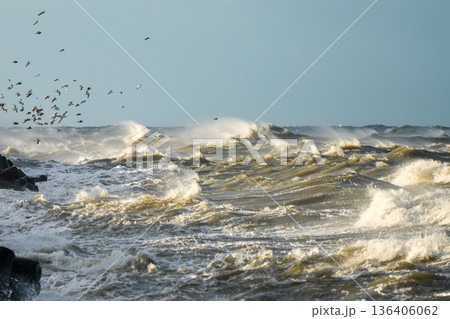 Powerful storm waves crashing near Liepaja harbor breakwater with flying seagulls, Baltic Sea view Powerful storm waves crashing near Liepaja harbor breakwater with flying seagulls, Baltic Sea view 136406062