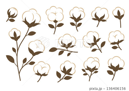Cotton plants set. Elegant vector floral element perfect for eco designs and botanical compositions Cotton plants set. Elegant vector floral element perfect for eco designs and botanical compositions 136406156