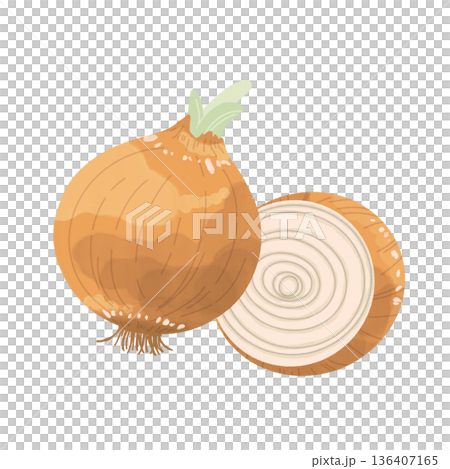 玉ねぎイラスト 136407165
