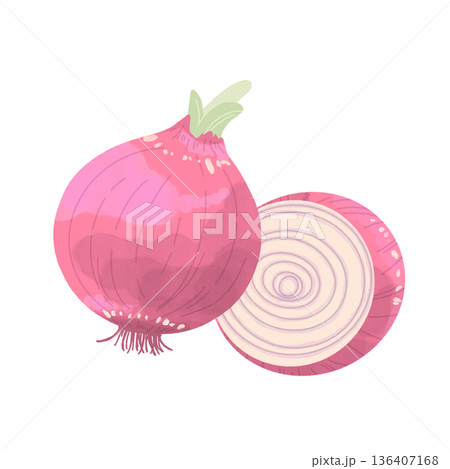 紫玉ねぎイラスト 136407168