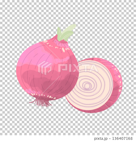 紫玉ねぎイラスト 136407168