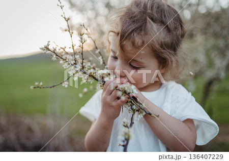 Cute girl smelling blooming flowers on branch, spending time in nauture. 136407229