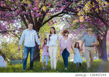 Three generation family on walk in spring nature. 136407244