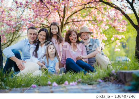 Three generation family sitting outside in spring nature. 136407246