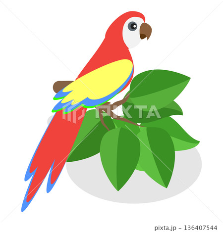 3D Isometric Flat  Illustration of Brazil. Item 3 136407544