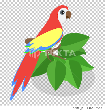 3D Isometric Flat  Illustration of Brazil. Item 3 136407544