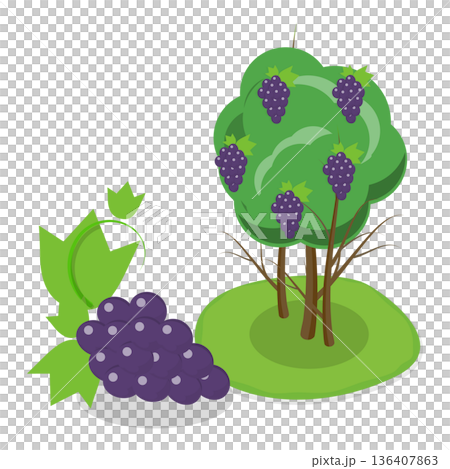 3D Isometric Flat Illustration of Organic Fruits and Berries. Item 3 3D Isometric Flat Illustration of Organic Fruits and Berries. Item 3 136407863