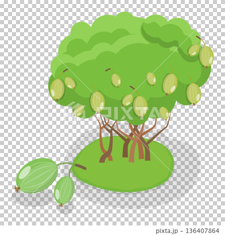 3D Isometric Flat  Illustration of Organic Fruits and Berries. Item 2 136407864