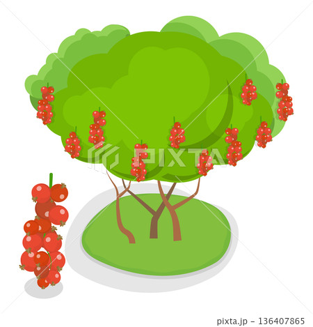 3D Isometric Flat Illustration of Organic Fruits and Berries. Item 1 3D Isometric Flat Illustration of Organic Fruits and Berries. Item 1 136407865