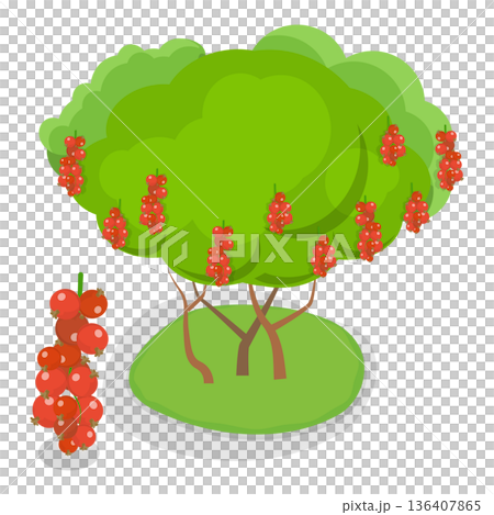 3D Isometric Flat  Illustration of Organic Fruits and Berries. Item 1 136407865