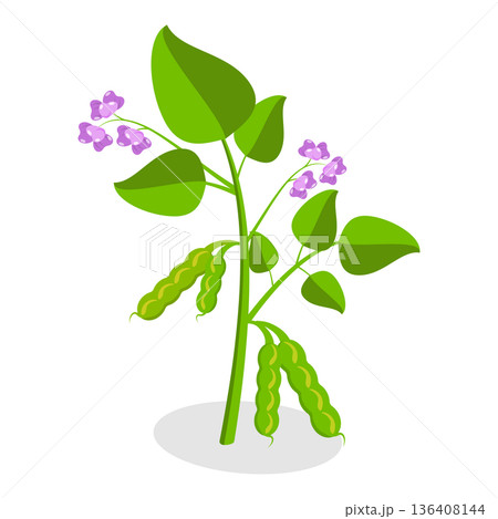 3D Isometric Flat  Set of Protein Food. Item 6 136408144