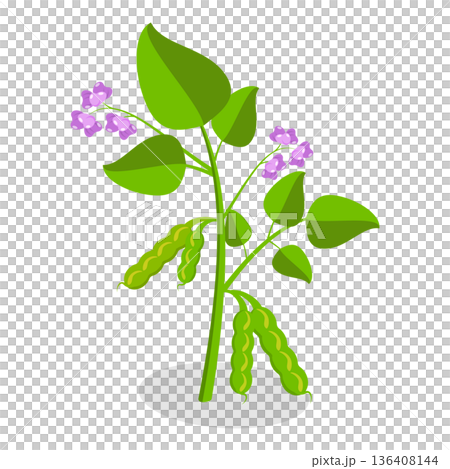 3D Isometric Flat  Set of Protein Food. Item 6 136408144