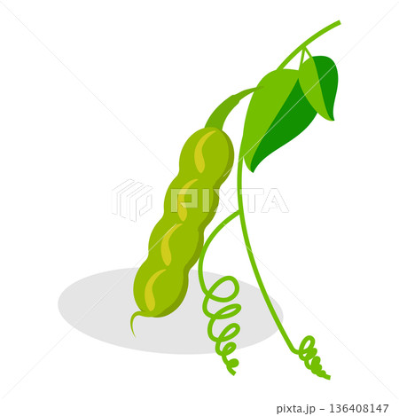 3D Isometric Flat Set of Protein Food. Item 3 3D Isometric Flat Set of Protein Food. Item 3 136408147