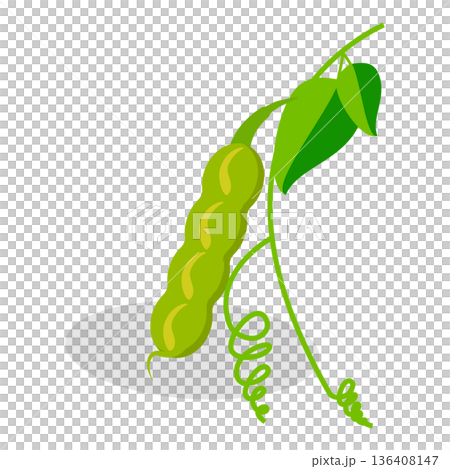 3D Isometric Flat Set of Protein Food. Item 3 3D Isometric Flat Set of Protein Food. Item 3 136408147