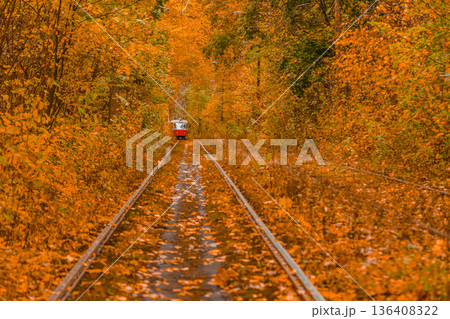 Autumn forest through which the tram travels, Kyiv and rails Autumn forest through which the tram travels, Kyiv and rails 136408322