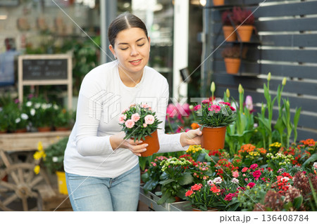 Woman buys garden carnation in flower shop 136408784