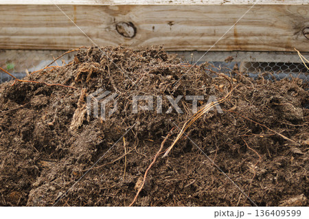 Close-up horizontal shot of compost prepared for sustainable fertilisation in gardens and farms 136409599
