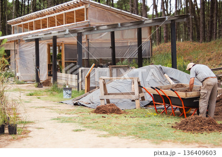 Man sifting soil for reforestation project with greenhouse and small pine trees in nursery preparing for planting 136409603