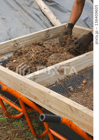 Vertical shot of hands wearing work gloves sifting compost soil for sustainable reforestation 136409605