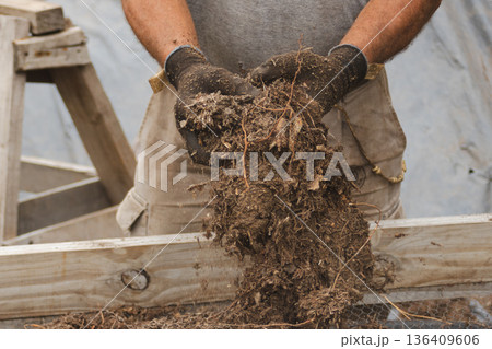 Man's hands wearing work gloves sifting compost soil for sustainable reforestation Man's hands wearing work gloves sifting compost soil for sustainable reforestation 136409606