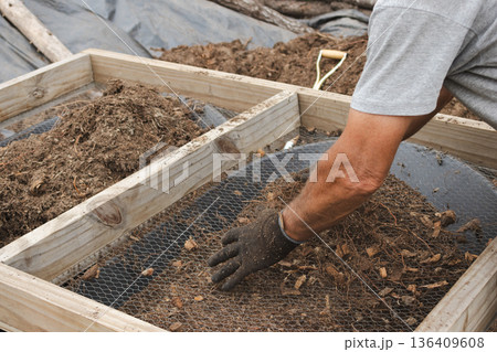 Adult person sifting compost for reforestation efforts, preparing soil for planting in a sustainable greenhouse 136409608