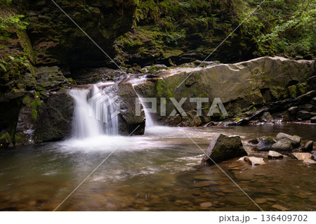 Small Forest Waterfall with Clear Stream and Mossy Rocks 136409702