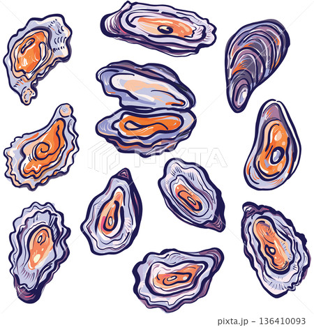 Colorful Sketch Oyster Collection in Decorative Vector Style 136410093