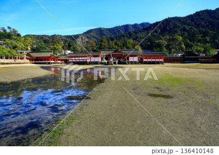 海に浮かぶ神殿… 安芸の宮島・厳島神社 海に浮かぶ神殿… 安芸の宮島・厳島神社 136410148