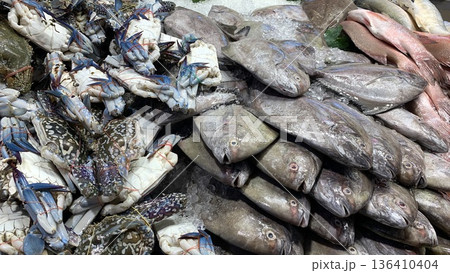 Horizontally aligned fish rows emphasizing uniform size selection market grading and efficient seafood display practices. Horizontally aligned fish rows emphasizing uniform size selection market grading and efficient seafood display practices. 136410404
