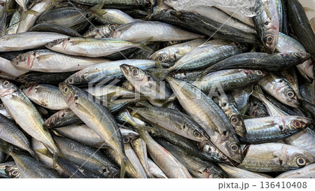 Mixed small fish pile representing variety of species daily catch volume and traditional seafood selling methods. Seafood concept. 136410408