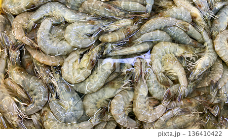 Mixed prawns and shrimp laid out densely illustrating harvesting results marine biodiversity and unprocessed seafood condition. Mixed prawns and shrimp laid out densely illustrating harvesting results marine biodiversity and unprocessed seafood condition. 136410422
