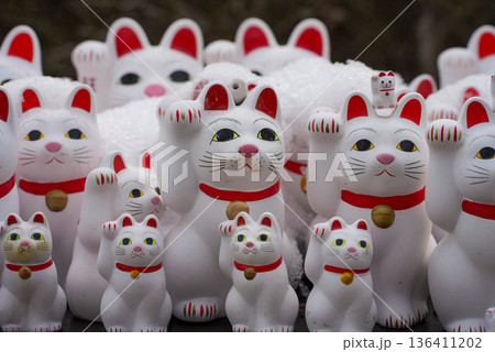 Gotoku-ji Temple Invited Cat 136411202