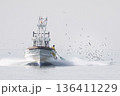 春を告げるイカナゴ漁とカモメ 136411229