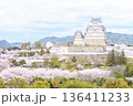 桜咲く世界遺産・姫路城 136411233