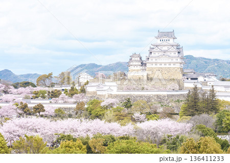 桜咲く世界遺産・姫路城 136411233