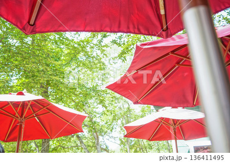 赤いパラソルと木漏れ日のカフェテラス 136411495