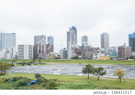 横浜の都市風景と川沿いの緑地 136411517