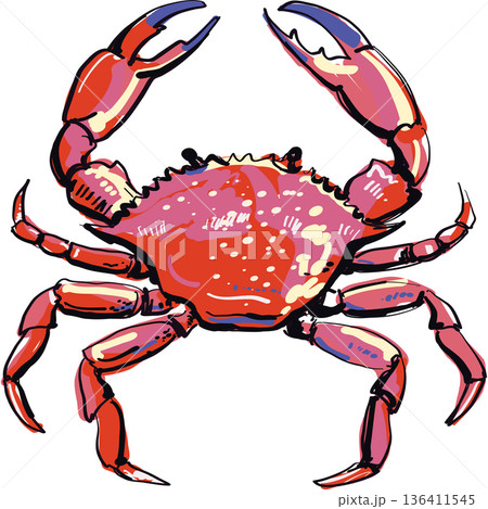 Decorative Red Crab Illustration in Expressive Sketch Style 136411545