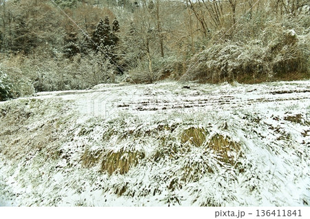篠山自然遊歩道脇の雪に覆われた小さな畑 136411841