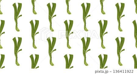 Leek Vegetable Illustration Composition Leek Vegetable Illustration Composition 136411922