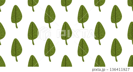 Spinach Leaf Seamless Pattern Illustration 136411927