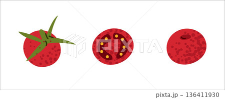 Tomato Vegetable Ingredient Illustration 136411930