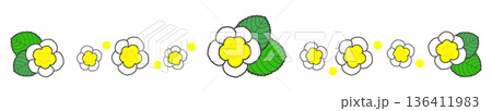 白い花のライン 白い花のライン 136411983