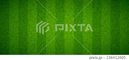 Grass field concept background. Abstract green turf effect texture. Artificial sport field surface design for football, baseball, soccer game. Textured golf lawn imitation ground wallpaper. Vector 136412005