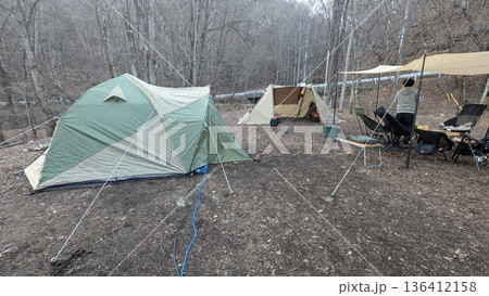 森のキャンプ場でテントを設営する 136412158