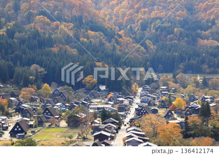 [定額] 秋の紅葉 白川郷 合掌造り集落 ( 岐阜県 白川村 ) 136412174