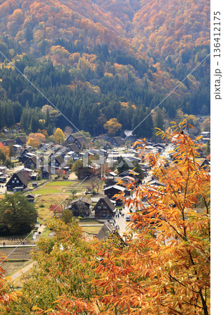 [定額] 秋の紅葉 白川郷 合掌造り集落 ( 岐阜県 白川村 ) 136412175