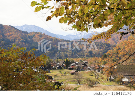[定額] 秋の紅葉 白川郷 合掌造り集落 ( 岐阜県 白川村 ) 136412176
